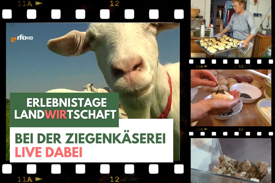 TV Besuch beim Erlebnistag