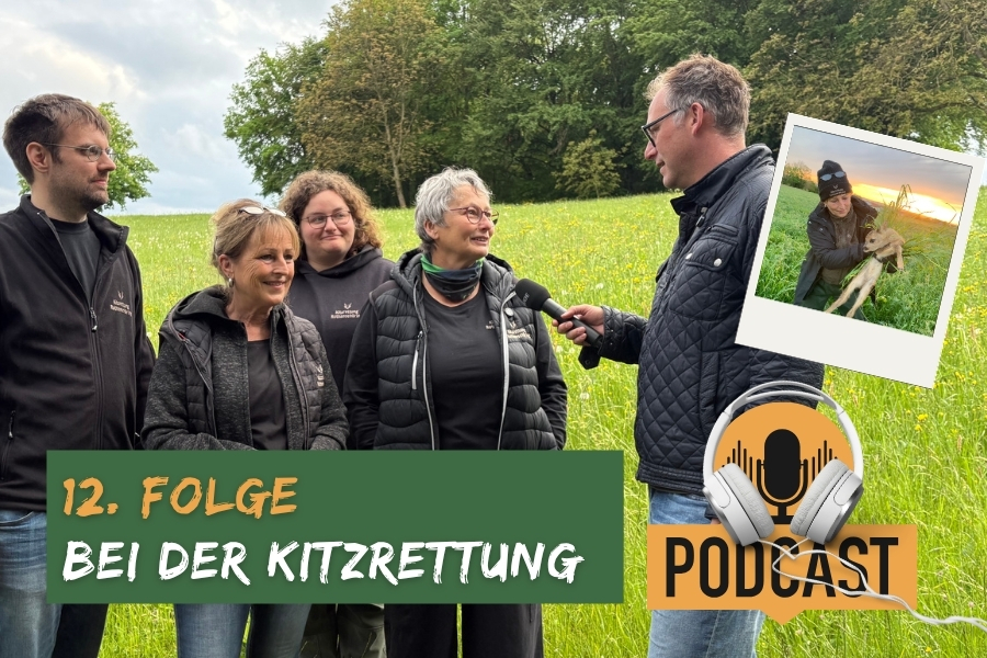 Durch Ehrenamt zu Gänsehaut-Momente